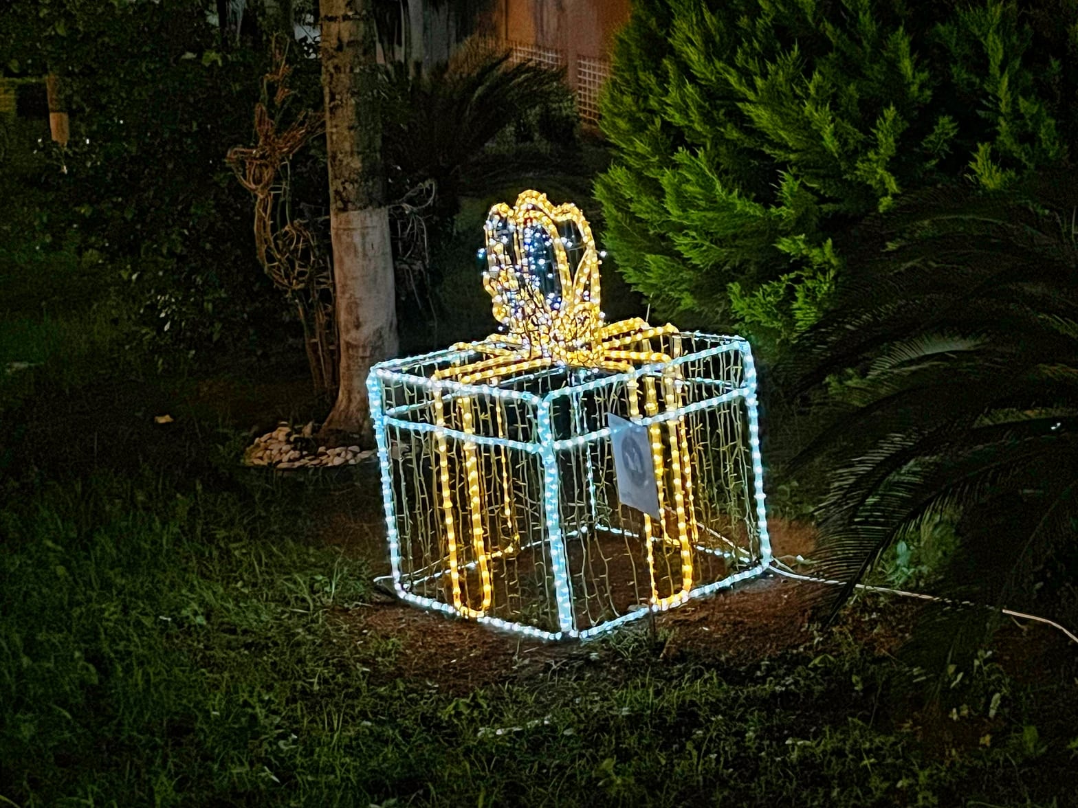 IMG_0375