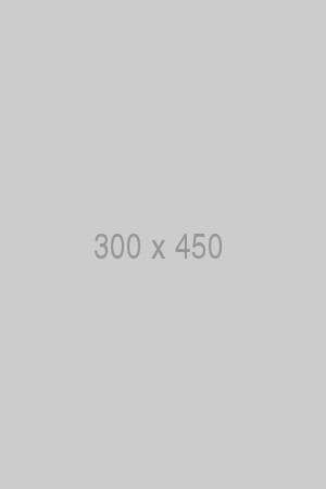 300x450